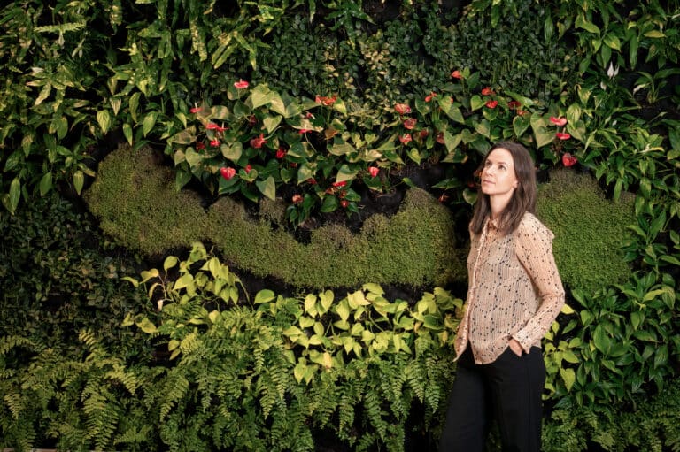 Tine foran plantevæg
