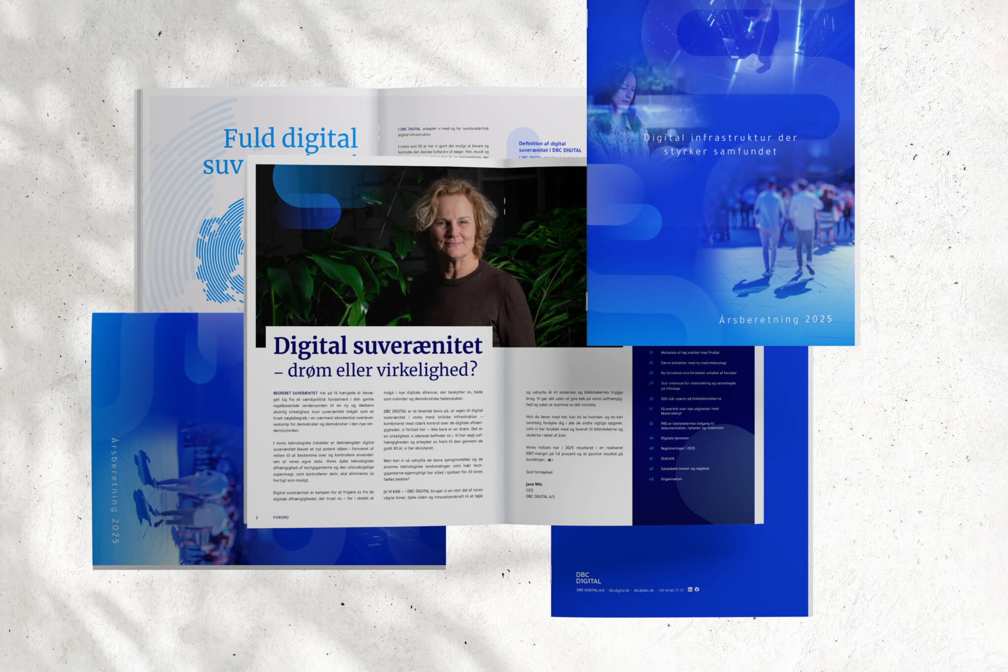 Grafik af årsberetningen